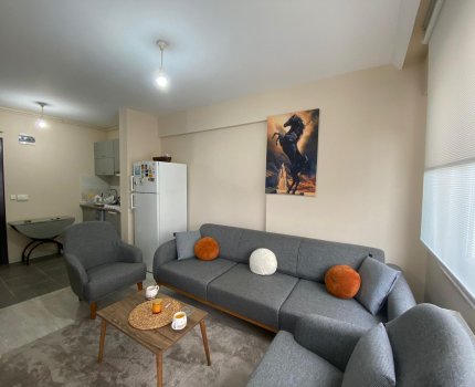 ALMİNA'DAN 1+1 MERKEZİ KİRALIK DAİRE 